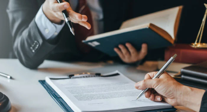 expert witness services