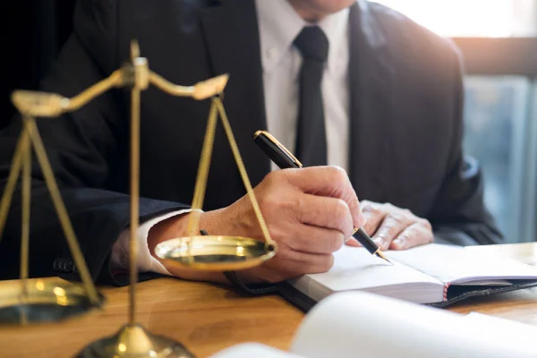 expert witness support